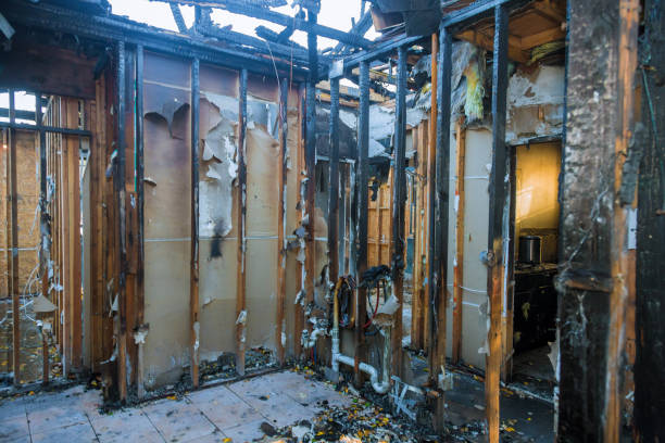Professional Fire Damage Removal technician working in Perry, LA